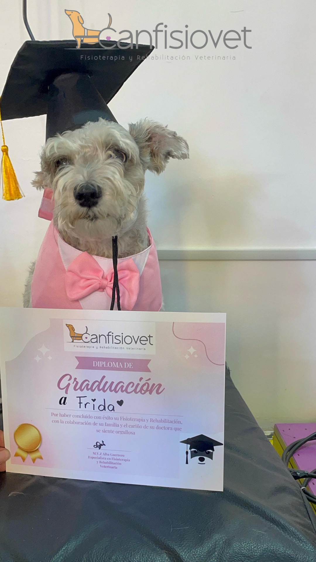 Equipo de rehabilitación